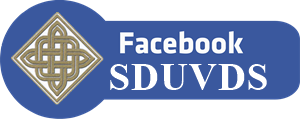 Facebook SDUVDS